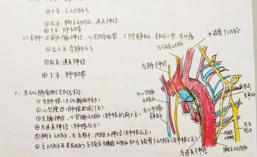 惊了，这是医学生的笔记！青铜这样记，白银这样记，王者却……