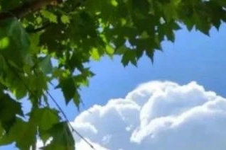 春日特辑 | 把交大的春天写成一首歌