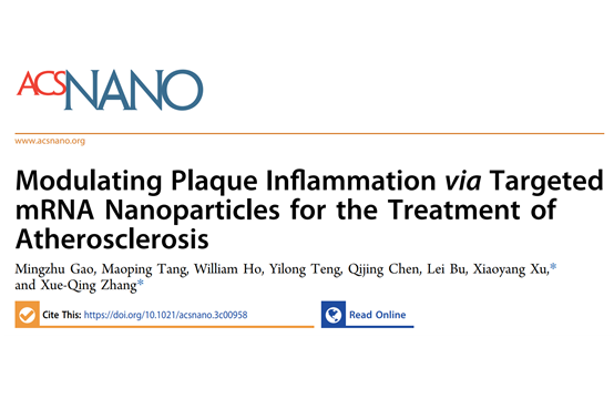 上海交大章雪晴研究員團隊再發《ACS NANO》︰通過靶向mRNA納米藥物調節斑塊炎癥以治療動脈粥樣硬化