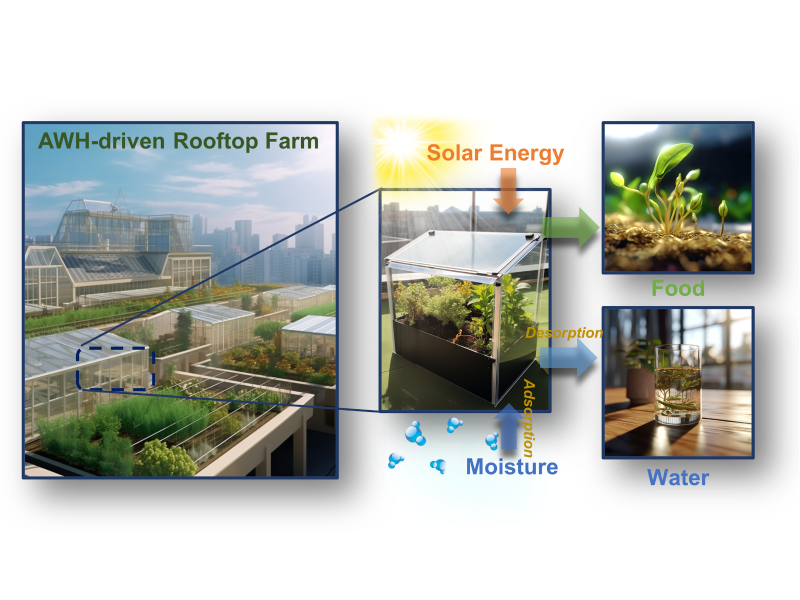 上海交大王如竹ITEWA团队整合全自动屋顶农业与空气取水精准灌溉，实现城市粮食-水资源的协同增产