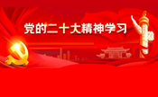 专题网