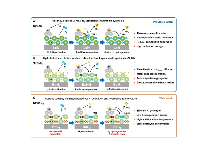上海交大叶天南团队利用C<sub>2</sub>缺陷实现氮气水平吸附活化与高效合成氨