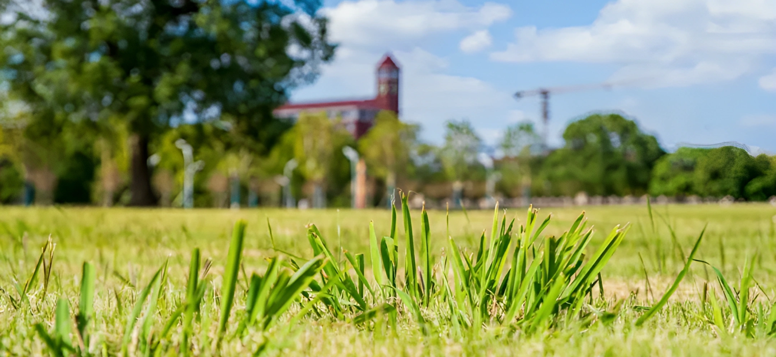 比冬天先到的，是交大的温暖