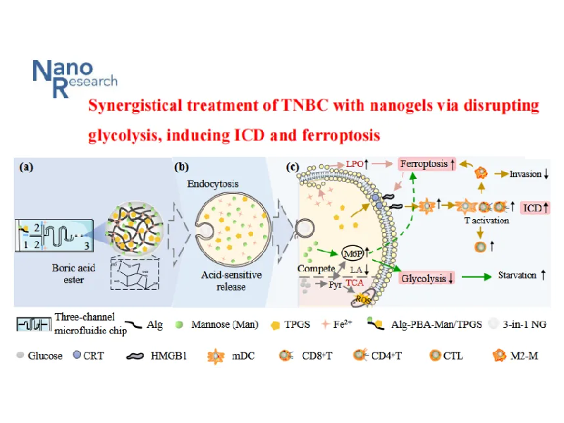 上海交大药学院郭圣荣课题组在Nano Research发表研究成果