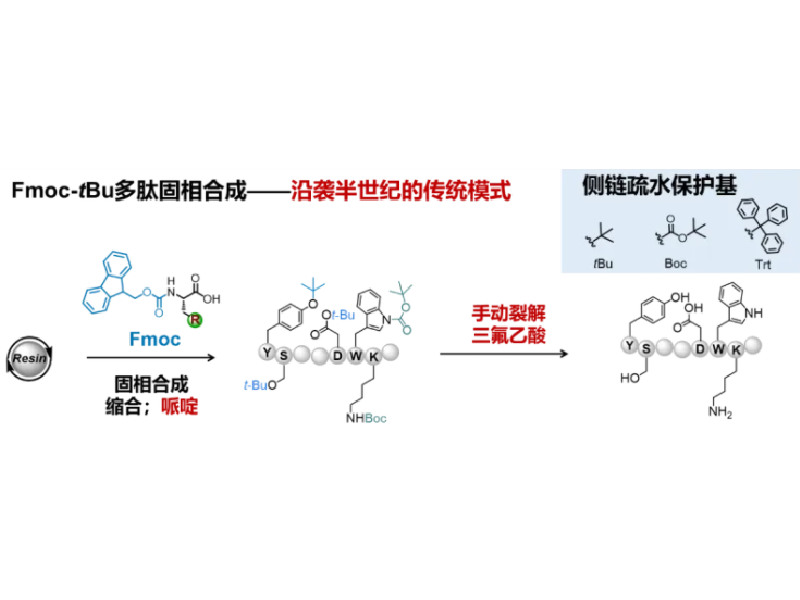 上海交大药学院王平课题组JACS发文：基于吡啶甲基的多肽合成新策略