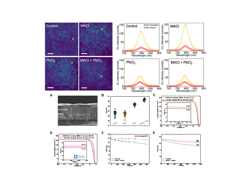 上海交大溥渊学院陈昊团队在《美国化学会志》发表最新文章：通过常用氯化物添加剂均质化钙钛矿光电子性能以实现高效太阳能电池