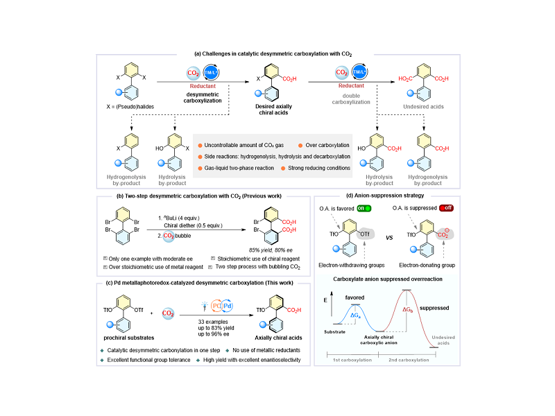上海交大变革性分子前沿科学中心刘家旺/高申团队通过“阴离子抑制”策略助力实现光/钯协同催化CO<sub>2</sub>参与的去对称羧化反应